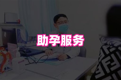 123试管孕网 1